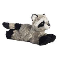 aurora raccoon