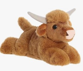 aurua highland cow