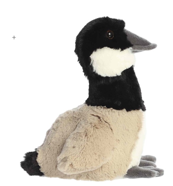 canada goose