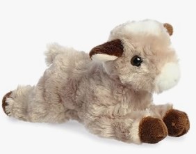 pasley goat